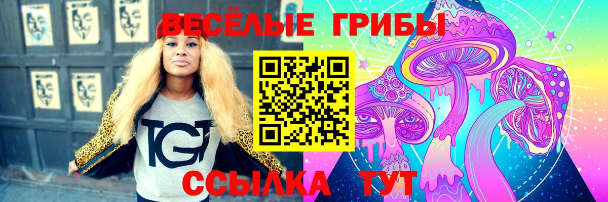 Галлюциногенные грибы ЛСД Ленинск-Кузнецкий